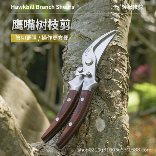 外贸全钢树枝剪刀修剪枝专用枝剪园艺修花花剪园林剪刀修枝剪果树
