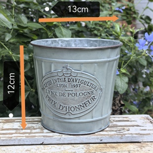 新款铁艺花盆阳台多肉小桶复古铁皮花器