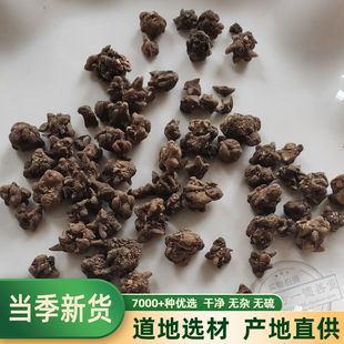 猫爪草500g中药材新鲜车前草猫爪草夏枯草蒲公英郁金