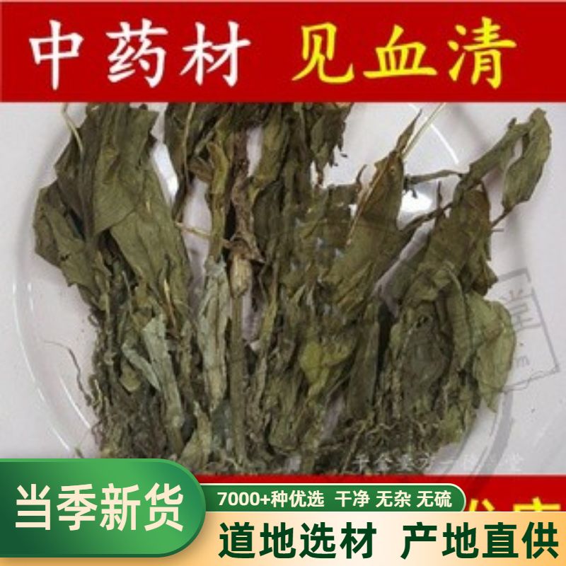 见血清中草药材 500g克包邮见血青羊耳蒜羊耳蒜见血莲