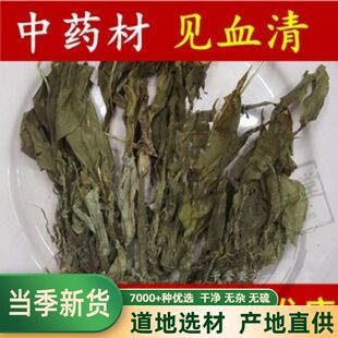 见血清中草药材 500g克包邮见血青羊耳蒜羊耳蒜见血莲