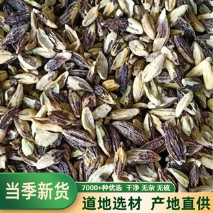 使君子仁 留求子 使君子肉 索子果 史君子 五棱子 500克包邮