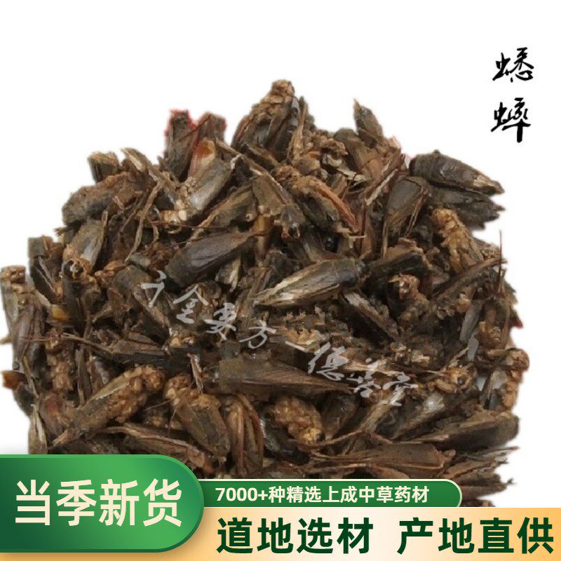 中药材干蟋蟀 干蛐蛐 500克包邮本店有蟑螂 蝼蛄 蝗虫 五谷虫