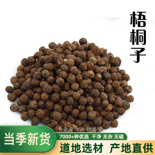 油桐籽 梧桐籽 瓢儿果 梧桐子 桐麻豌桐油树子500克 包邮