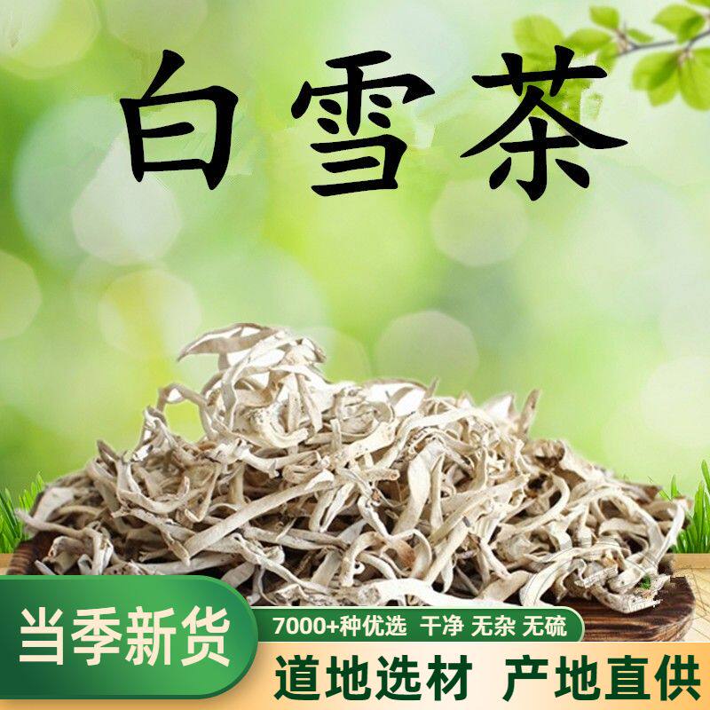 西藏特产高山白雪茶正宗高原雪茶白雪茶太白茶500克包邮