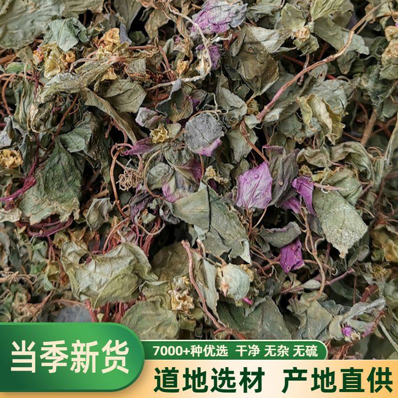 新货野生斗草风鼓250克干品