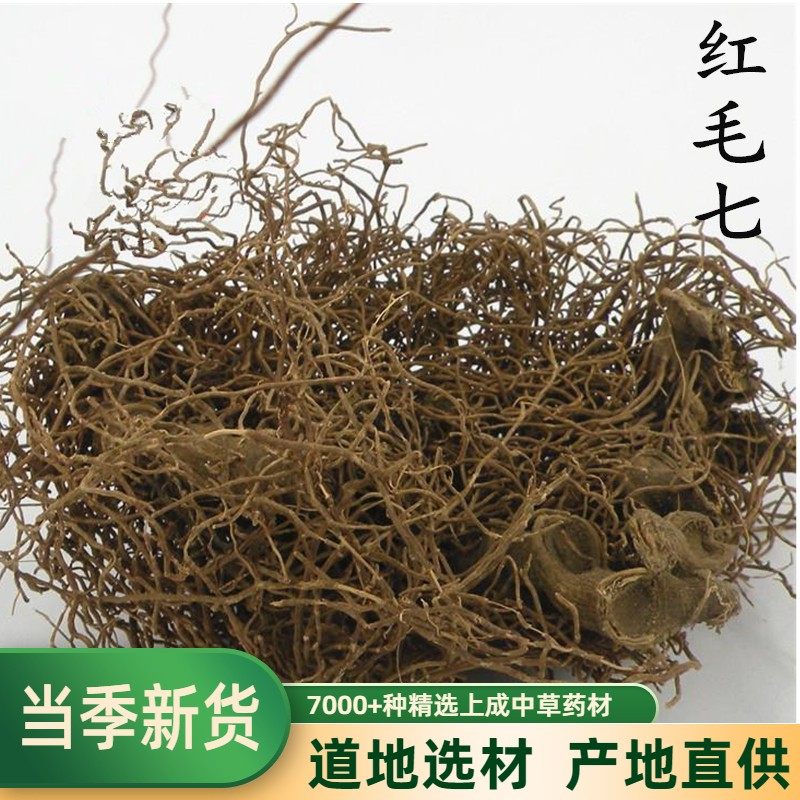 红毛七 红毛漆 类叶牡丹 鸡骨升麻 金丝七 500克   包邮