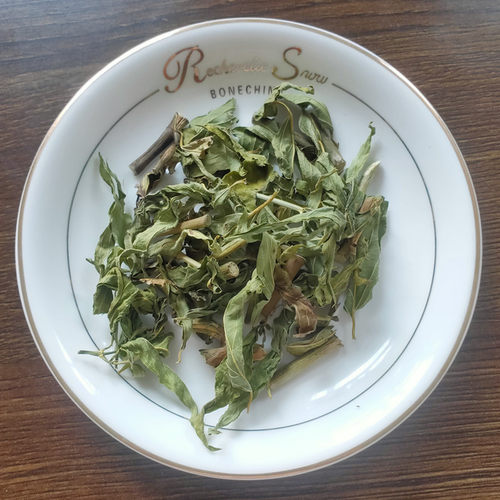 忧遁草干叶纯野生粉剂嘴花黎