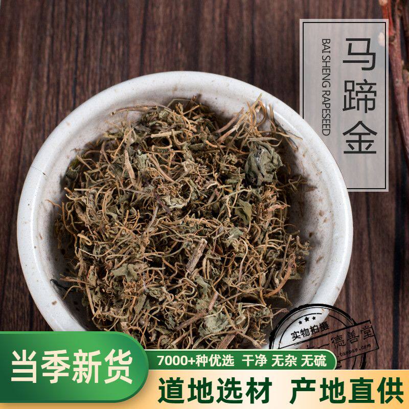中药材 马蹄金 荷包草 黄胆草 小草  小马蹄草   500克 包邮