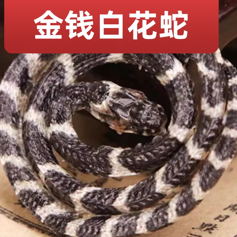 正宗特级白花蛇金钱白花蛇中药材小百花蛇一条包邮白花蛇干泡酒料
