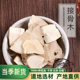 中药材 接骨木 扦扦活 接骨风 接骨丹 续骨木 舒筋树 500克包邮
