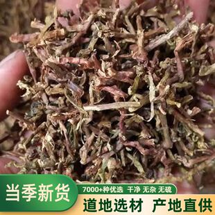 山蜜甘肃新货新款上市草山蜜草茶加甜叶菊山密草长寿草山密草茶