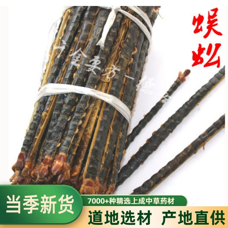 蜈蚣按条卖15-16公分小土中药材