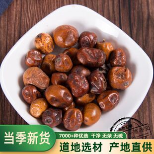 川楝子中药材金铃子川连子非苦楝子苦莲子500g克川楝实树上苦拣子