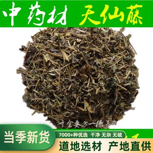 中药材 天仙藤 都淋藤 兜铃苗 马兜铃藤 青木香藤  500克包邮