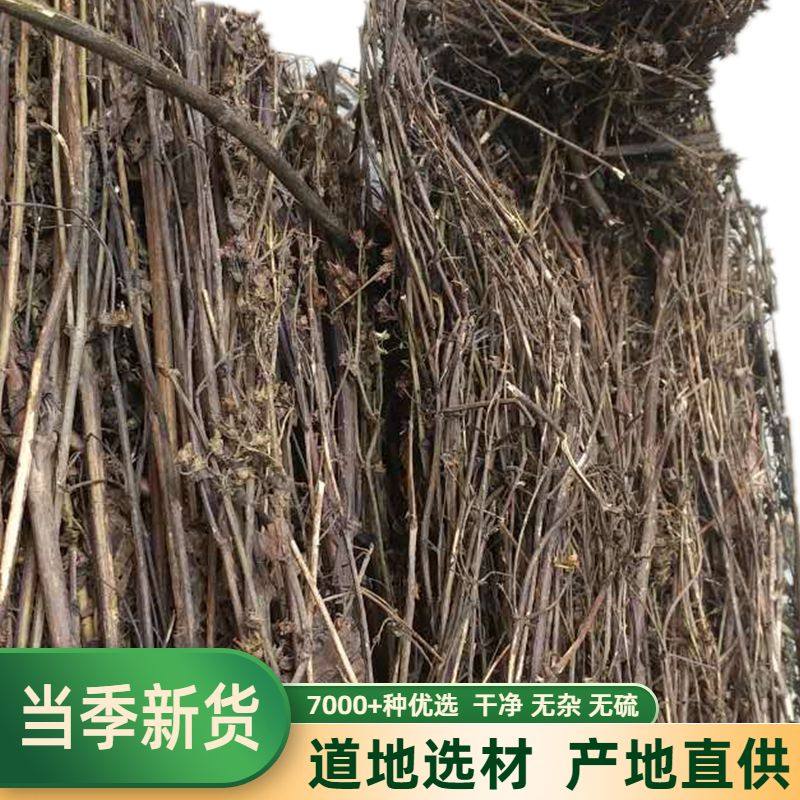 藏茵陈西藏高原精选整株正宗无硫中药材泡水煮水赶黄草苦胆草