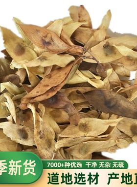 中药材 凤眼草 椿荚 凤眼子 臭树铃铛 樗树子 臭椿子 春铃子500克