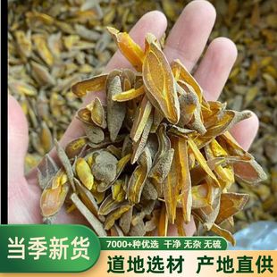 黄丝郁金片四川金丝中药材250克正宗马郁丝好无硫薄片