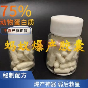 蚂蚁爆产胶囊 爆产神器 弱后救星 狂魔蚂蚁营养液营养粉 蚂蚁食物