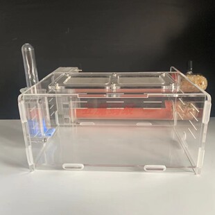 25/30口径2试管巢 大蚁道 大尺寸 大活动区325/320狂魔蚂蚁竹节巢