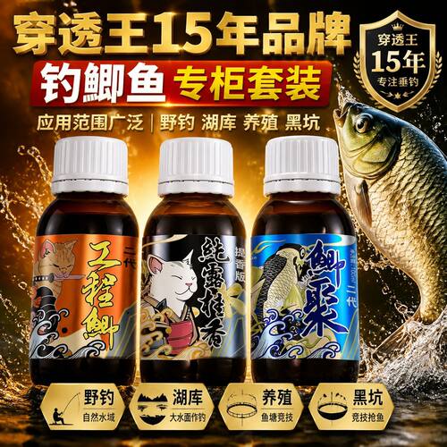 透王四季通用黑坑鲫鲤套装