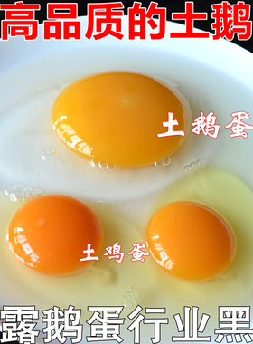 全天候放牧农家纯粮散养土鹅初生蛋新鲜有机草鹅处子蛋去胎毒12个