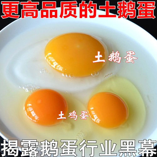 全天候放牧纯粮散养土鹅初生蛋