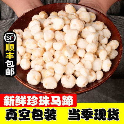 珍珠马蹄去皮荸荠椰子鸡火锅配菜