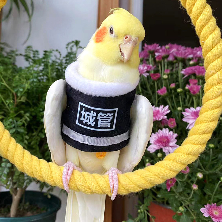 玄凤鹦鹉飞行衣牡丹虎皮网红可爱卖萌礼服立体可调节宠物鸟外出服,宠物/宠物食品及用品,猫宠物服装/雨衣（新）,淘宝优惠券,粉丝福利购,淘宝优惠卷