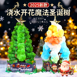魔法圣诞树纸树开花七彩神奇浇水结晶圣诞节礼物儿童diy手工玩具