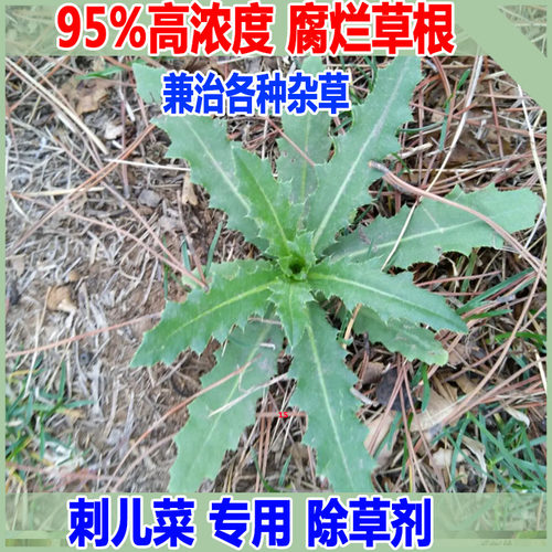 刺儿菜除草剂高浓度配方