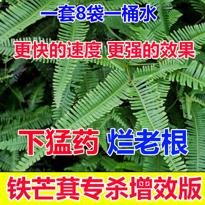 铁芒萁除草剂铁芒萁专杀除草剂