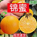 纯甜锦蜜冰糖橙 10斤 麻阳超甜现摘新鲜水果湖南褚甜橙柑橘橙子5