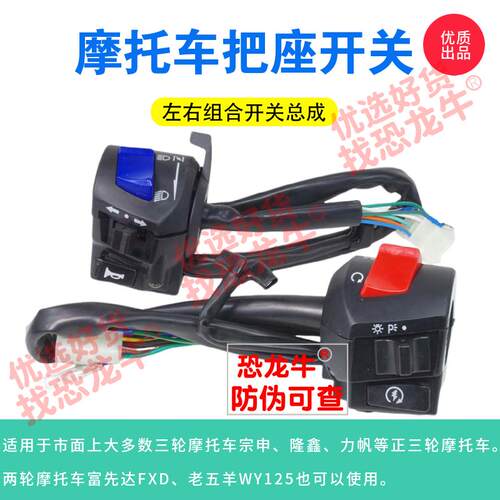 适用隆鑫劲隆摩托车配件LX150-62150-59CR1CR5K5左右把座开关