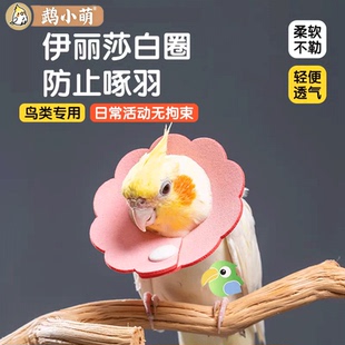 鹦鹉伊丽莎白圈超轻受伤颈项圈牡丹虎皮和尚防拔毛小鸟专用防啄羽