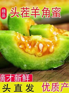 山东现货头茬新鲜羊角蜜脆甜