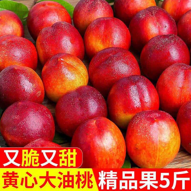 正宗黄心油桃5斤桃子新鲜水果水密桃新鲜现摘黄肉蜜桃子整箱包邮