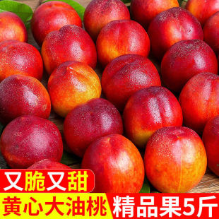 正宗黄心油桃5斤桃子新鲜水果水密桃新鲜现摘黄肉蜜桃子整箱包邮