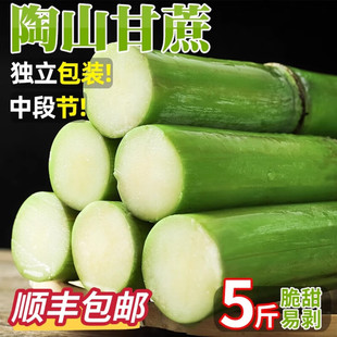 正宗陶山青皮甘蔗新鲜孕妇水果现砍5斤整箱绿皮甘蔗果蔗顺丰包邮