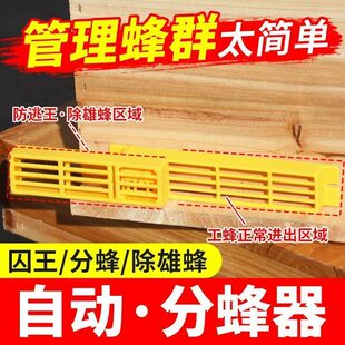 中蜂自动收王器分蜂器多功能防逃框自动分蜂器除雄蜂分蜂囚蜂王笼