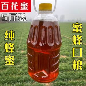 一瓶五斤装喂蜂蜂蜜口粮