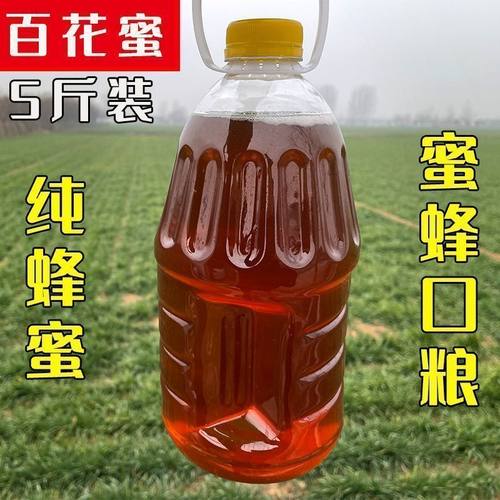一瓶五斤装喂蜂蜂蜜口粮