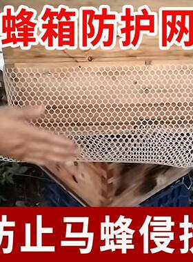 蜂场防蜂网防马蜂网格胡蜂虎头蜂专用网蜂箱配件保护蜜蜂用具工具