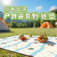 户外防水防潮野餐垫加厚便携折叠露营垫春游沙滩草坪垫野餐布地垫