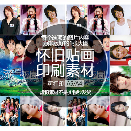 流星花园道明寺杉菜花泽类怀旧贴纸贴画印刷素材不干胶可打印A5A4