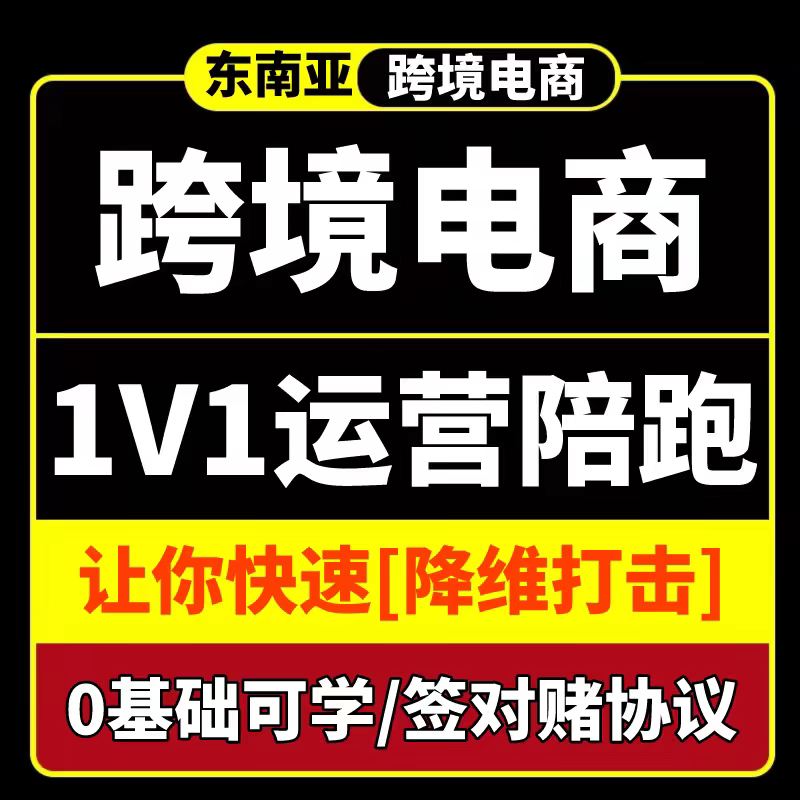 东南亚虾皮TK跨境一对一陪跑远程语音教学指导新手电商代运营起店图片