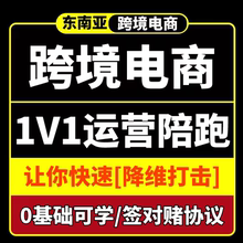 东南亚跨境一对一陪跑远程语音教学指导新手电商代运营起店