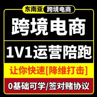 东南亚跨境一对一陪跑远程语音教学指导新手电商代运营起店