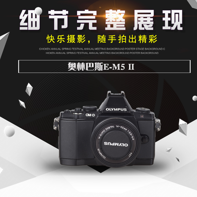 二手 奥林巴斯e-m5 ii一二代12高清旅游家用数码微单相机 奥巴em5