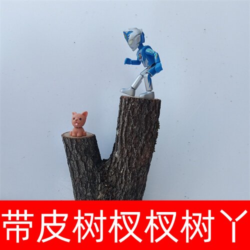 原木树丫树桠山茶树杈杈diy手工制作弹弓材料樟树杈装饰摆件